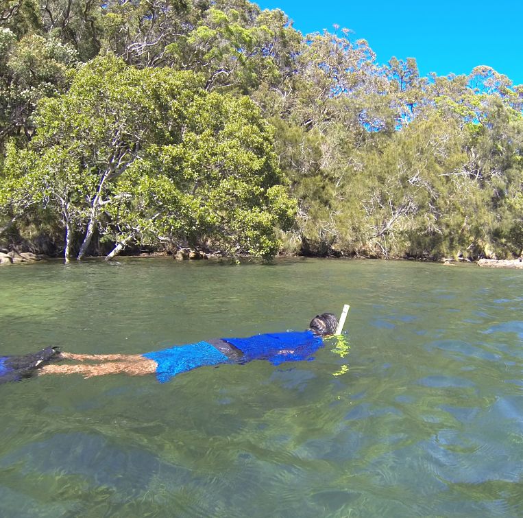 Basin Snorkel for Seas Horses - Ku-ring-gai Chase National Park